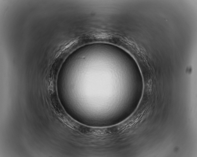 X0000100851205200806271128