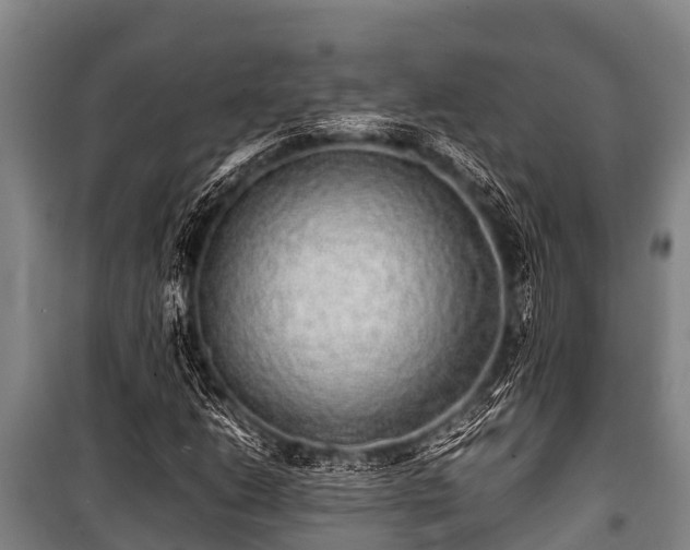 X0000100851206200806271128