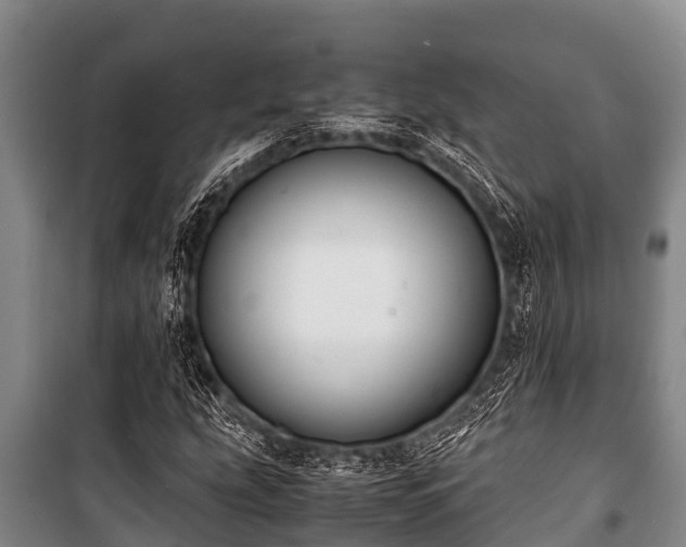 X0000100851207200806271128