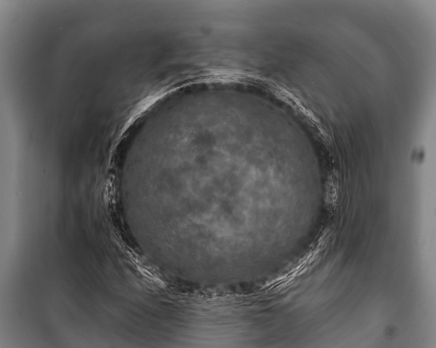 X0000100851208200806271128