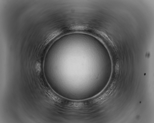 X0000100851209200806271128