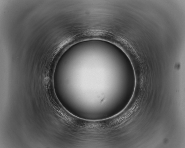 X0000100851210200806271128