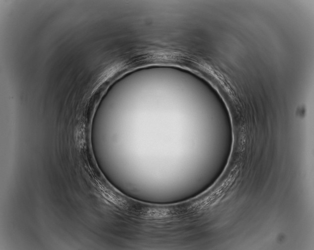 X0000100851211200806271128
