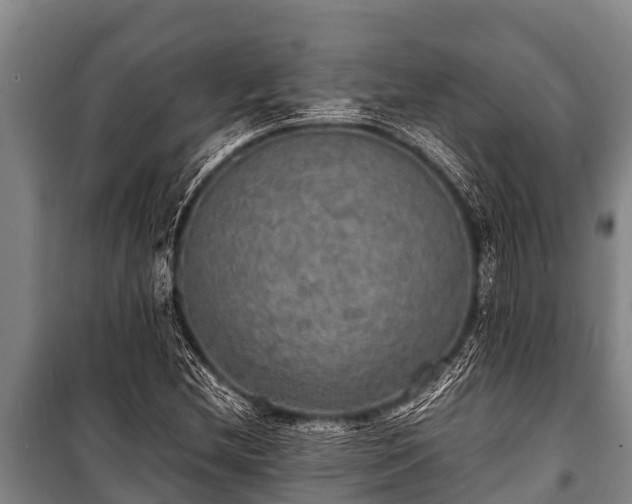 X0000100851212200806271128