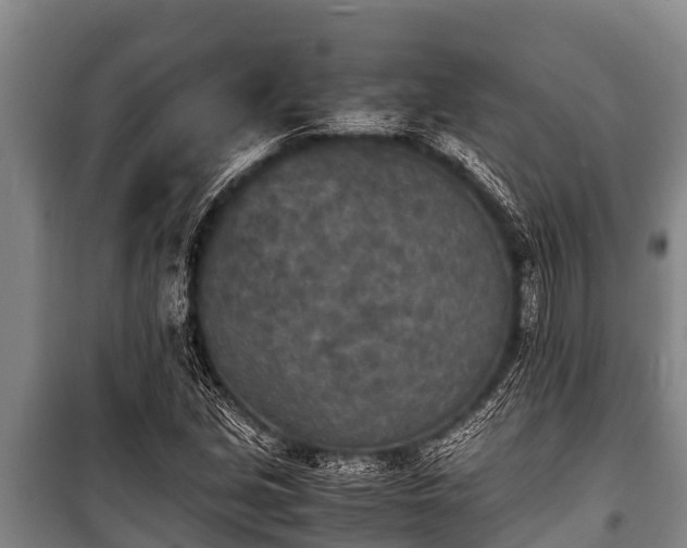 X0000100851213200806271128