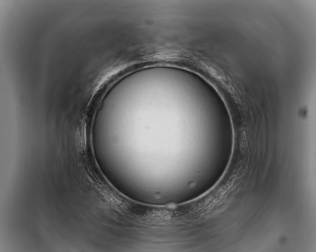 X0000100851214200806271128
