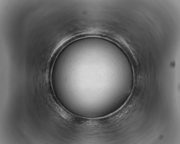 X0000100851216200806271128