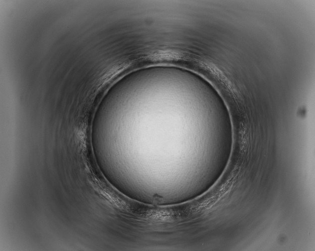 X0000100851217200806271128