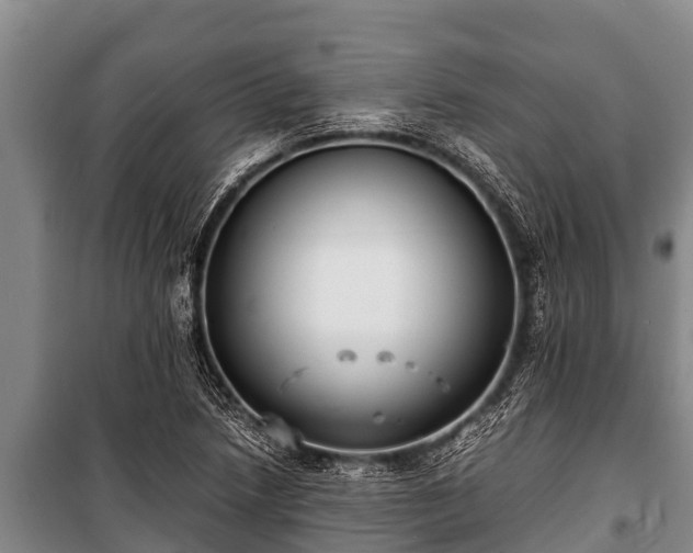 X0000100851218200806271128