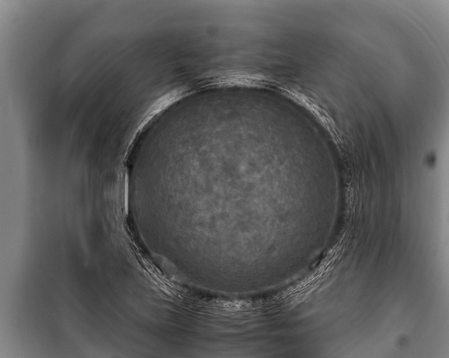 X0000100851219200806271128