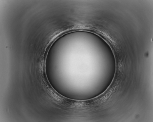 X0000100851220200806271128