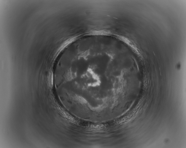X0000100851221200806271128