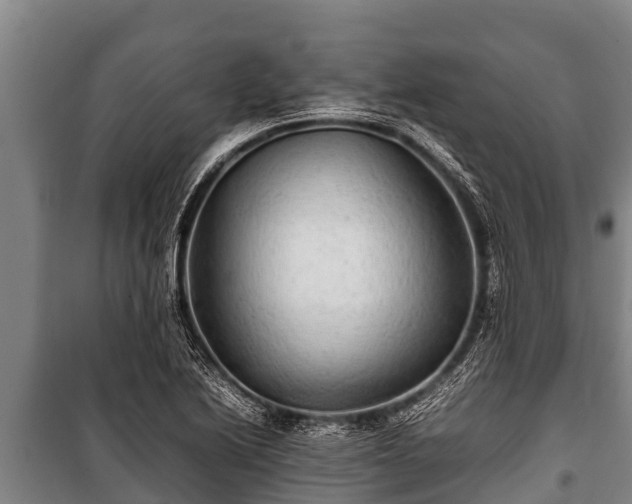 X0000100851222200806271128