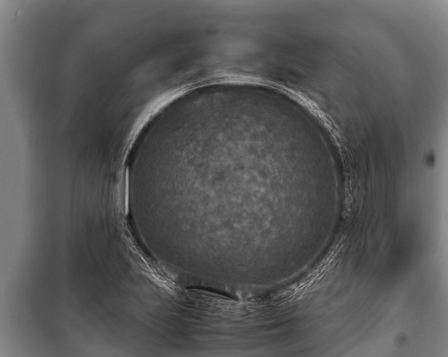 X0000100851223200806271128