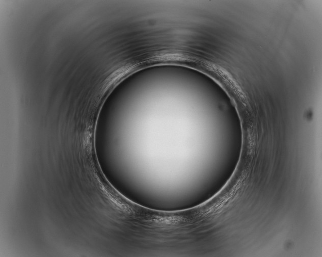 X0000100851225200806271128