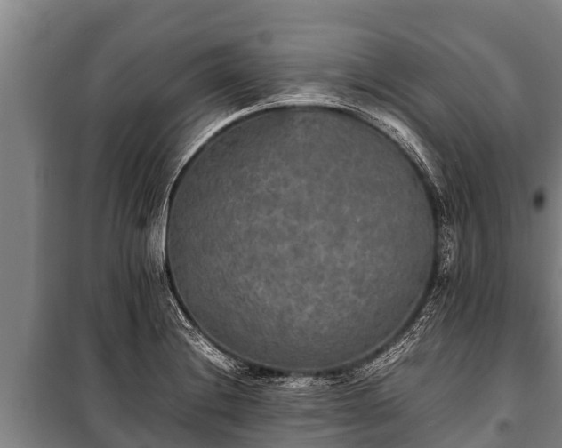 X0000100851228200806271128