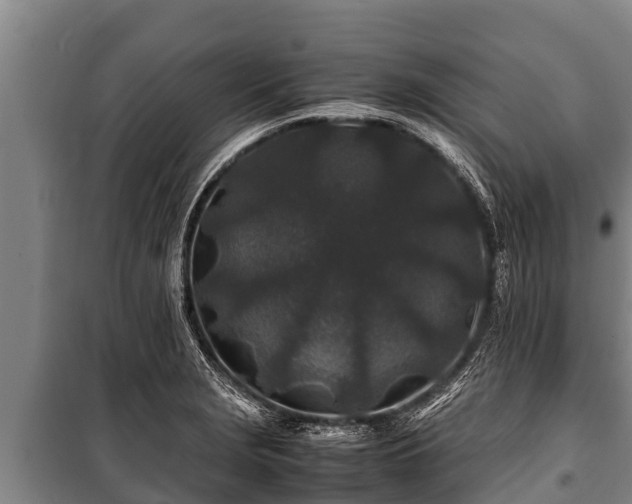 X0000100851229200806271128
