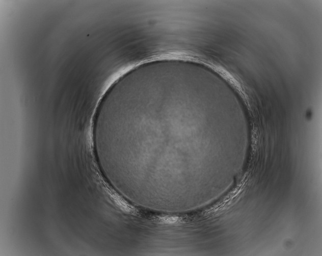 X0000100851230200806271128