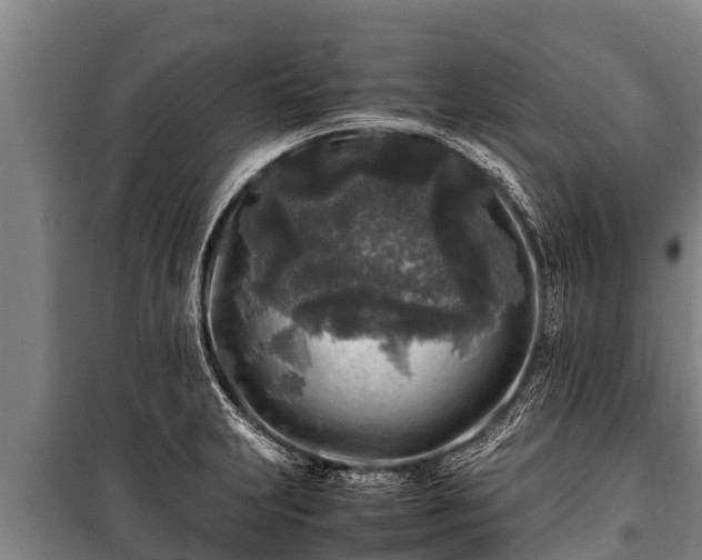 X0000100851231200806271128