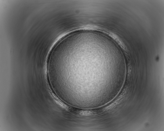X0000100851232200806271128