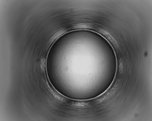 X0000100851233200806271128