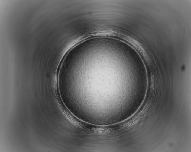 X0000100851234200806271128