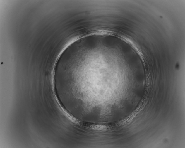 X0000100851235200806271128