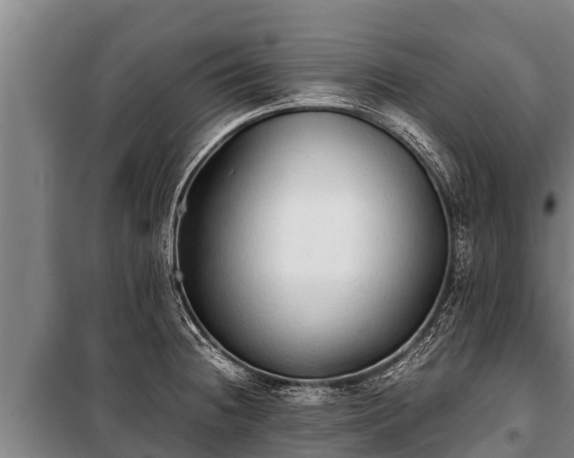 X0000100851236200806271128