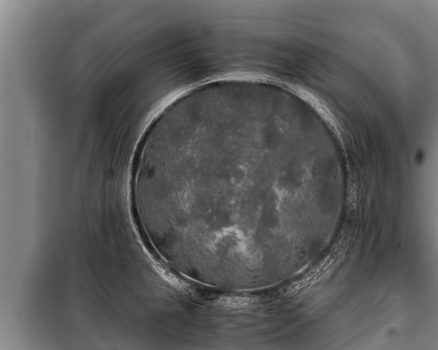 X0000100851237200806271128