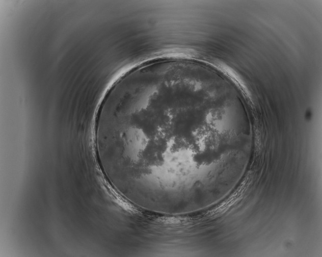 X0000100851240200806271128