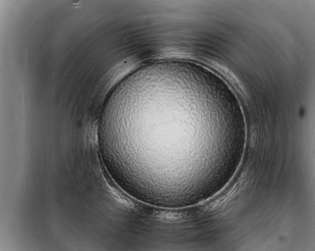 X0000100851241200806271128