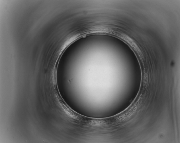 X0000100851242200806271128