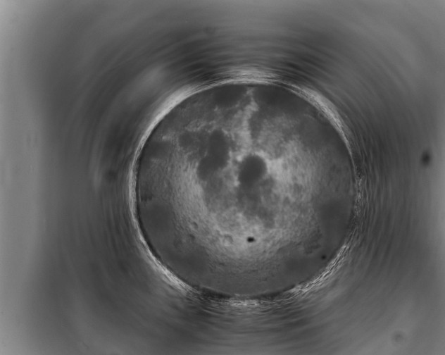 X0000100851243200806271128