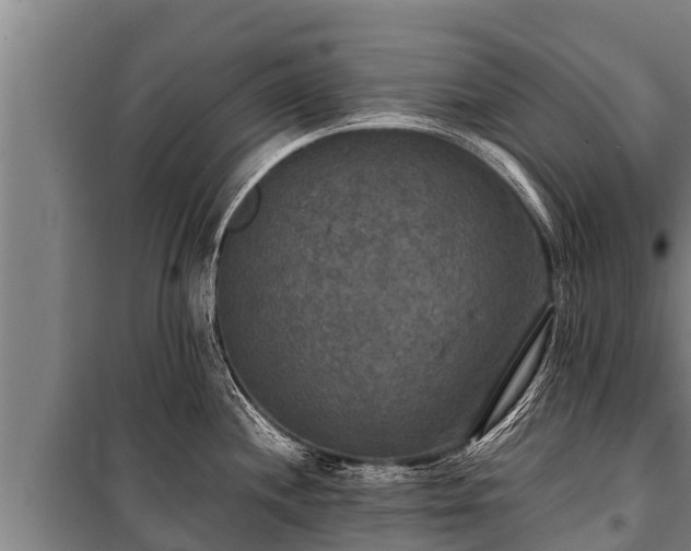 X0000100851244200806271128