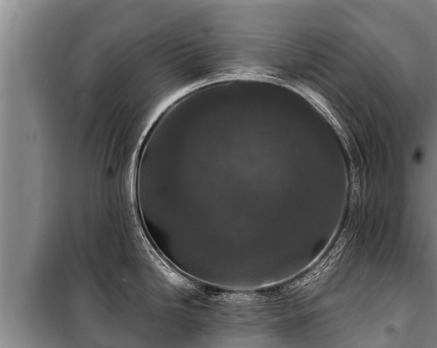 X0000100851246200806271128