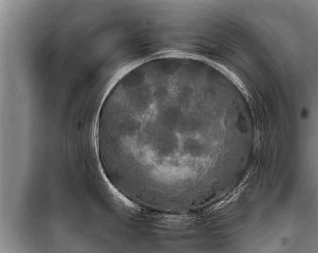 X0000100851247200806271128