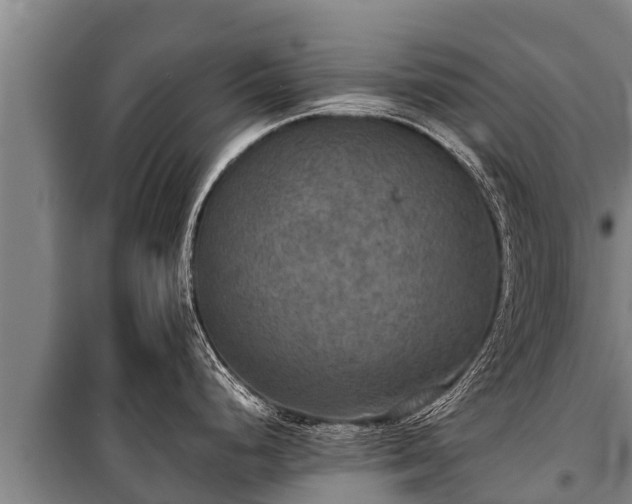 X0000100851248200806271128