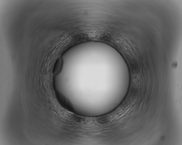 X0000100851249200806271128