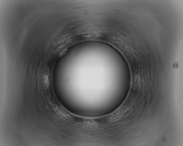 X0000100851250200806271128