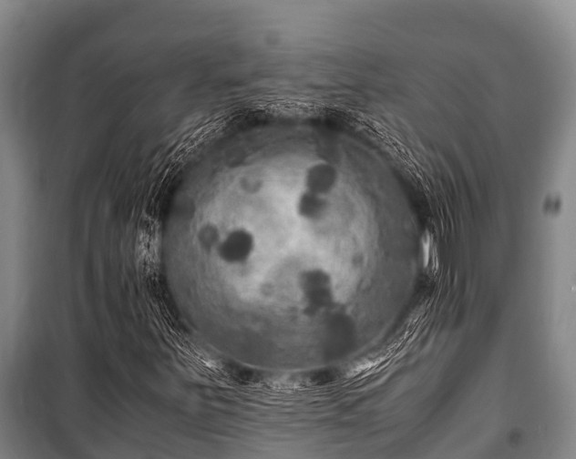 X0000100851251200806271128