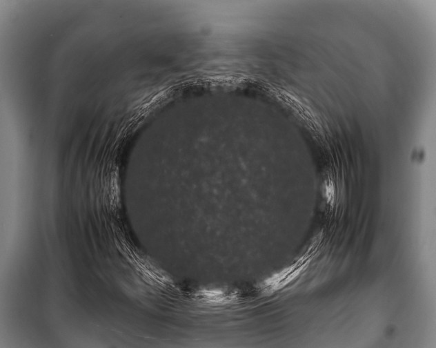 X0000100851252200806271128