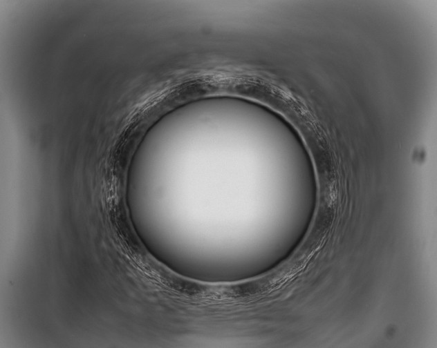 X0000100851253200806271128
