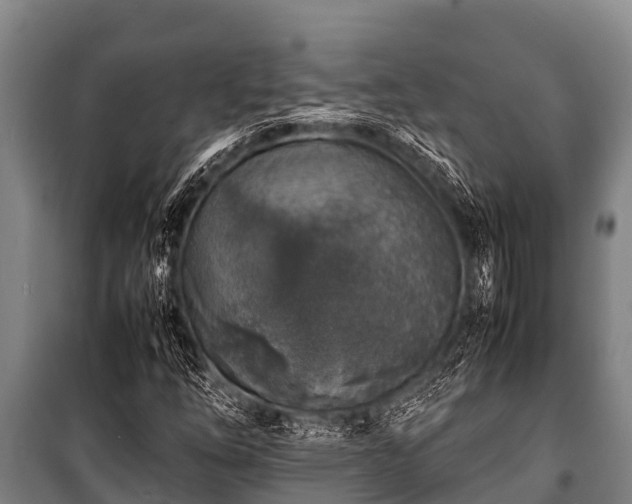 X0000100851254200806271128