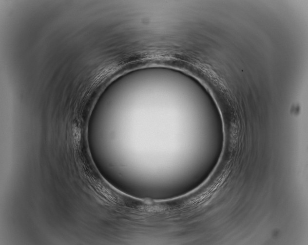 X0000100851257200806271127