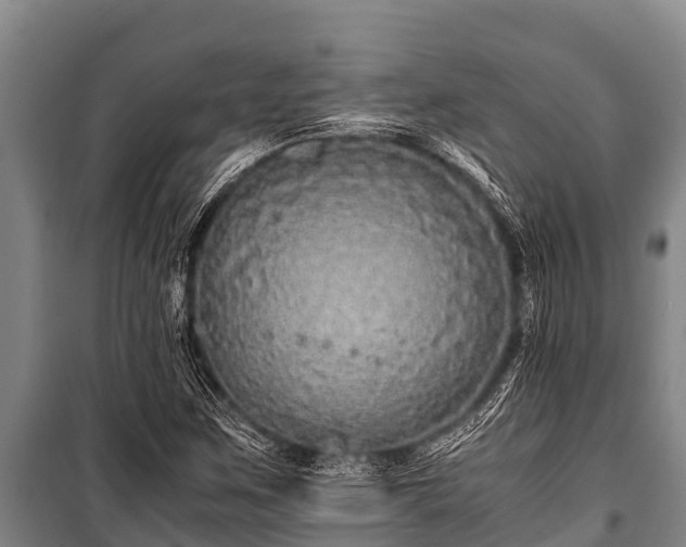 X0000100851259200806271127