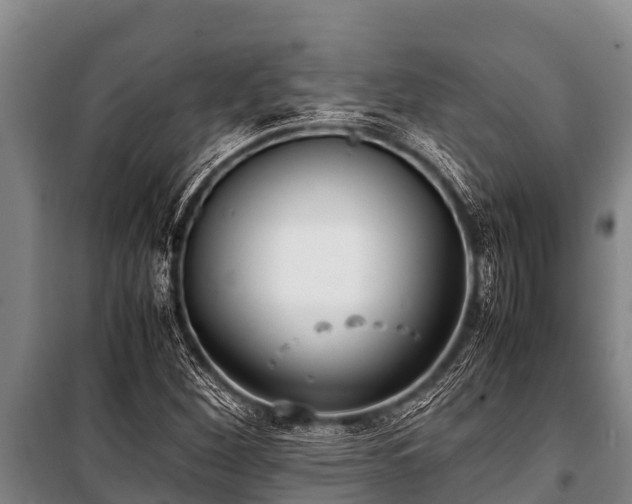 X0000100851260200806271127