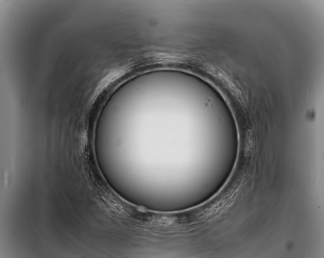 X0000100851261200806271127