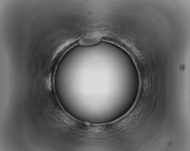 X0000100851262200806271127