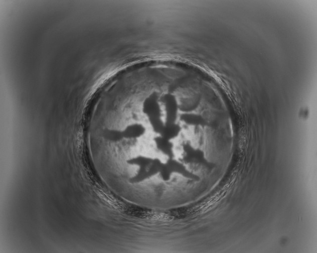 X0000100851263200806271127