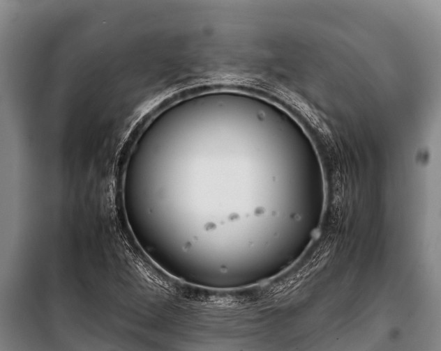 X0000100851264200806271127